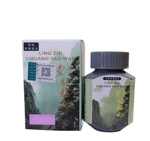 Ling Zhi Chuang Yao Wan
